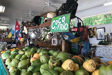 Guided gourmet tour in French of Little Havana (offroad)