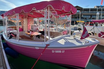 2-Hour Private Pink Party Boat Cruise in San Diego up to 8 people