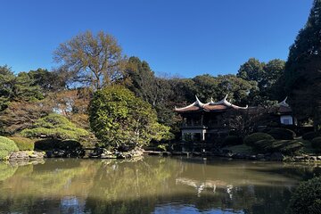 Full Day Walking Tour in Shinjuku and Shibuya