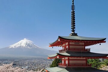 1 Day Mount Fuji Tour with English Speaking Driver