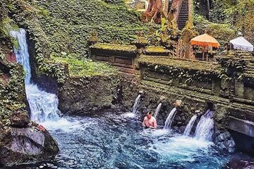 Private Guided Ubud Tour