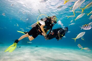 Diving Sea Trip with Hotel Pickup and Lunch - Hurghada