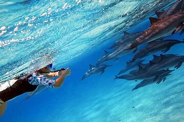 Dolphin House Sea Trip with Water Sports & Transfer - Hurghada