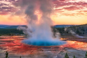 Small Group Yellowstone&Grand Teton 4-Day Tour w/2 Night Cabins