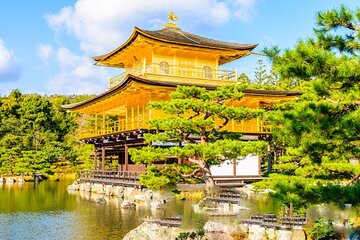 Full Day Guided Kyoto Cultural Tour