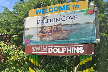 Private Transportation to/from Dolphin Cove in Montego Bay