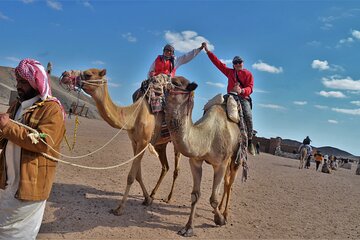 Embark on an Exciting Camel Ride in the Stunning Desert- Hurghada