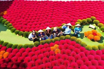 Small Group Of 9 Tour From Hanoi to Incense Village and Ninh Binh