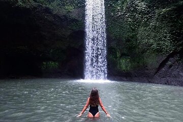 Ubud Waterfalls, Temple and Rice Terrace - Private Tour 