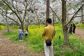 Private Day tour Guided Taxi Driver All Jeju area in Jeju island 