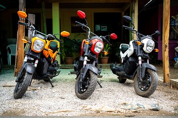 Moto Rentals in Playa Potrero and Flamingo 