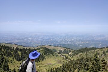 Mountain pasture Kok Zhailau The most popular trekking in Almaty