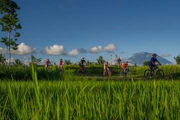 Bali Eco & Educational Cycling Tour