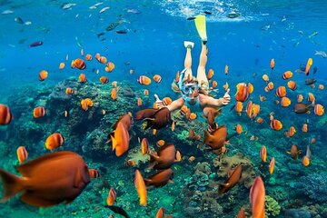 Tiran Island Snorkeling Adventure in Sharm El-Sheikh 