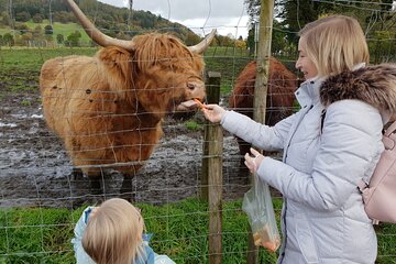 Private Full Day Tour of Loch Ness, Highlands, and Blair Castle