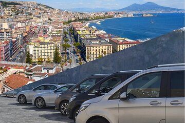 Private Tour Naples' Heart with Driver and Guide from Sorrento 