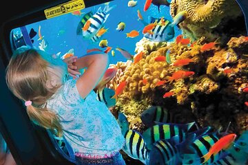 Sea Scope Cruise with Snorkeling in Hurghada