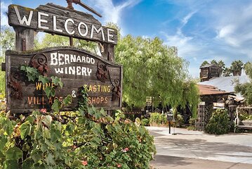 Private San Diego County Wine Tour in a Lexus ES300 Hybrid 