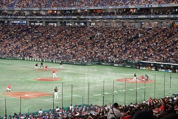 Tokyo Baseball Yomiuri Giants Match Tour (English Speaking Guide)