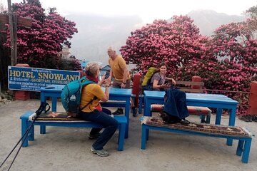Private 4 Day Poon Hill Trek from Pokhara