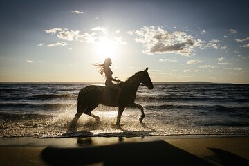 Horse and Camel Riding Adventure from Hurghada