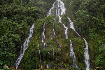 Tour to Santa Rosa de Cabal Coffee Farm and Hot Springs