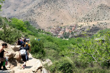 Day Trip to the Stunning Ourika Valley from Marrakech With Lunch