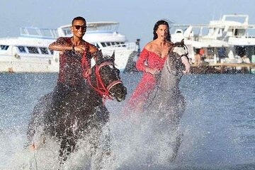 Desert & Sea: 2-Hour Horseback Ride in Hurghada