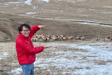 Authentic Mongolian two days tours in Terelj & Khustai National P