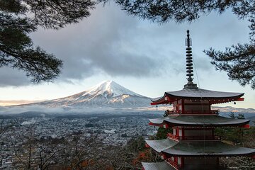 Mt Fuji Full Day Private Tour 