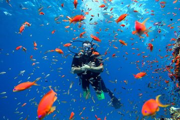 Diving in Hurghada for Beginners With Lunch and Transfer