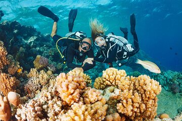 Full Day Intro Diving for Beginners With Lunch - Sharm El Sheikh