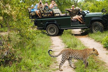 Kruger National Park 4 Day Private Safari from Johannesburg 