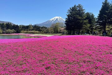 Mt Fuji Private Full Day Tour with Multilingual Chauffeur