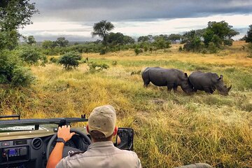 2Days Solio Ranch Luxury Safari on 4x4 Land Cruiser Jeep