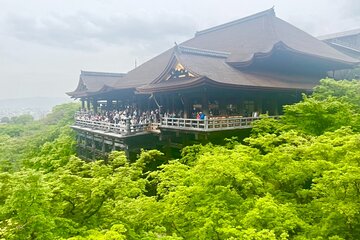 Private Kyoto Tour with Local Hotspots and Hidden Gems