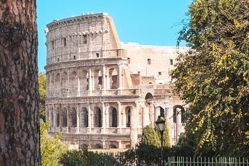 Rome: Colosseum, Palatine Hill & Roman Forum Small Group Tour