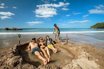 Coromandel Peninsula Highlights Small Group Tour from Auckland 