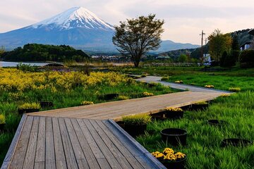 Mount Fuji One Day Tour from Tokyo Japan