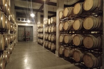 Queretaro Wine Experience