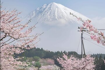 Mt Fuji Private Tour with English speaking driver