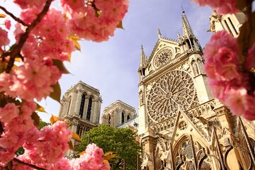 Tour Island of the Cite and Latin Quarter the Soul of Paris