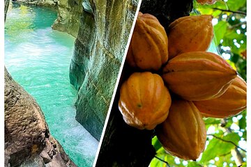 Private Tour Damajagua Waterfalls and Dominican Flavours