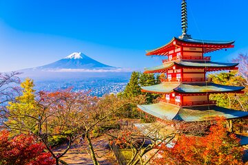 Mt. Fuji And Hakone Private Day Tour with English Speaking Guide