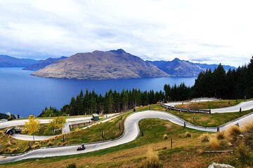 6 Day South Island NZ Private Tour from Auckland w/ Flight