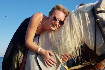 Hurghada: Desert and Sea Horseback Riding with Transfer