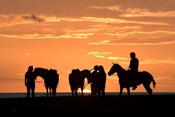 Horseback Riding Beach & Jungle
