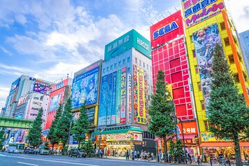 From History to Subculture: Akihabara & Ueno Must-See Tour!