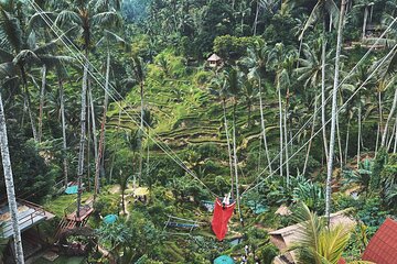 Ubud Private Tour: Waterfall, Monkey Forest, Rice Terrace, Temple