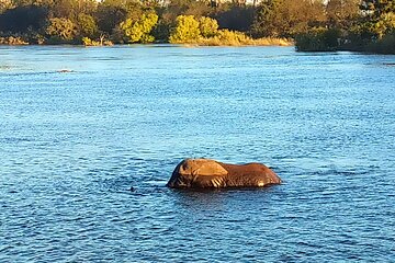 River Based Game And Sunset Cruise In Victoria Falls